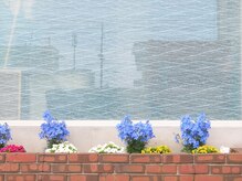 自分メンテ/花壇