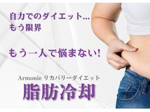 アルモニー(armonie)/結果出し！最強痩身！！