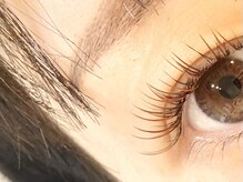 シャルム(Charme)/アッシュカラー　120本