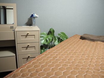 ガーベラ(Gerbera)/医療提携「腸もみ」もオススメ!