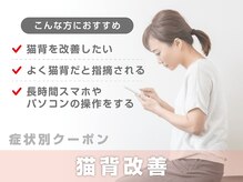 サボテン接骨院 はりきゅう院 北浦和浦高通り院(SABO-TEN接骨院 はりきゅう院)/【症状別クーポン】猫背改善