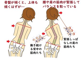 オレンジ療整院/骨盤調整は根本の1つ