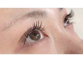 プリジュール(Pljoul)/フラットラッシュ/Cカール