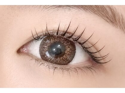 シャイニーラッシュ(shiny lash)の写真