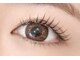 シャイニーラッシュ(shiny lash)の写真