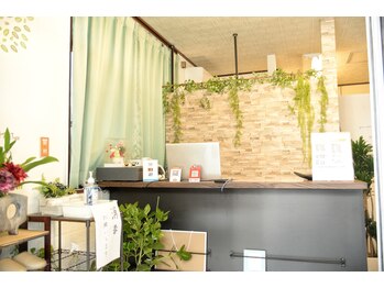 もみの樹/店内を明るく照らす陽の光