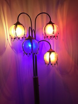 アデニウム(Adenium)/ランプが癒してくれます