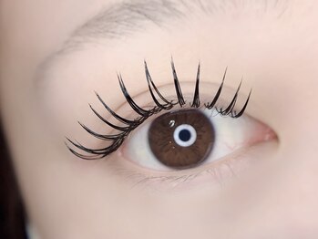 チルシー(Chilsea)/ダイアナラッシュ100束(束感)