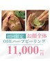 【ハーブピーリング・お顔】美容液毛穴洗浄ハイドラフェイシャル付　11,000円
