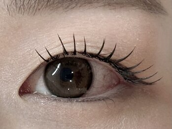 メメ(MEME)/フラットラッシュ140本