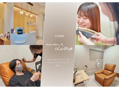 リノ(Lino)の写真