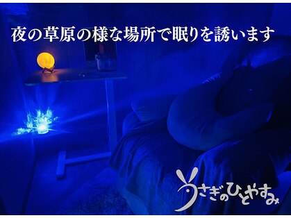 うさぎのひとやすみの写真