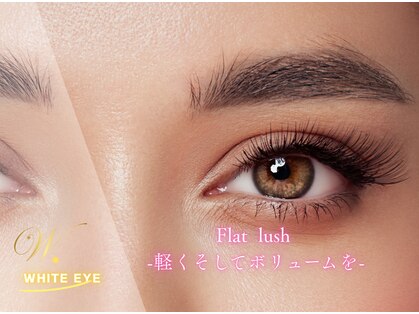 ホワイトアイ(WHITE EYE)の写真