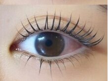 バタフライ 茅ヶ崎店(Butterfly)/