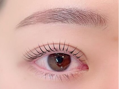 シャッセ(SASE)の写真