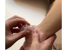 ロサ ケンティフォリア(Rosa centifolia)/～Rosa centifolia～