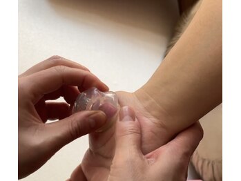 ロサ ケンティフォリア(Rosa centifolia)/~Rosa centifolia~