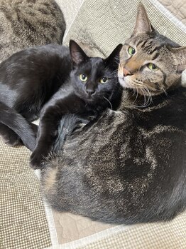 ソワンド ルバンシュ/さつきとキキ☆