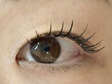 メメ(MEME)/フラットラッシュ100本