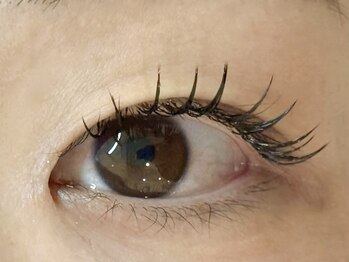 メメ(MEME)/フラットラッシュ100本