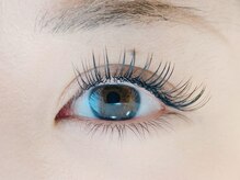 リーリオ(Lirio)/フラットラッシュ160本