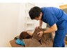 【姿勢をキレイに】巻き肩・猫背や反り腰を整える　¥10000→￥3980