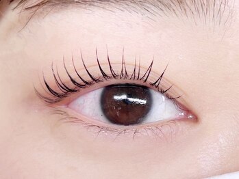 プリュネル(Prunelle)/パリジェンヌラッシュリフト