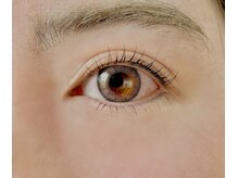 エクリュ 元住吉(ecru.)/上下ラッシュリフト