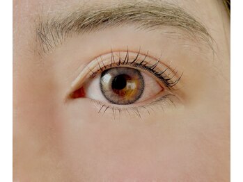 エクリュ 元住吉(ecru.)/上下ラッシュリフト