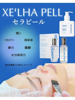 ヴィーナス(Venus)/韓国肌管理ララ/セラピール