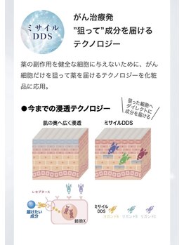 エステティック レイビス 川崎店(RAYVIS)/