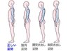 初回  整体 (筋肉) 80分