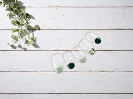 シアー　ワンホン　【10404】