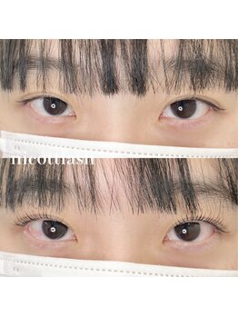 ニコットラッシュ 表参道店(nicott lash)/まつ毛パーマ/ラッシュリフト