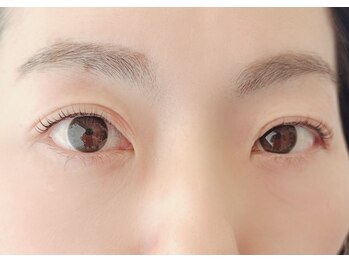 トランジットケイ(TRANSIT K)/大人のまつ毛はお任せください