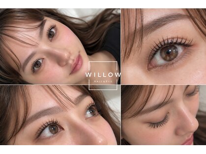 ウィロー 武蔵小杉(Willow)の写真