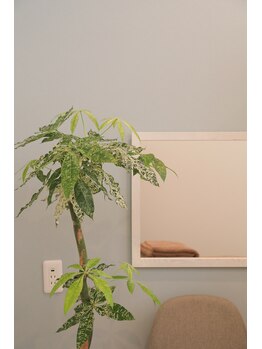 たけうちリハ鍼灸院(たけうちreha鍼灸院)/