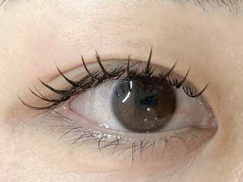 メメ(MEME)/フラットラッシュ100本