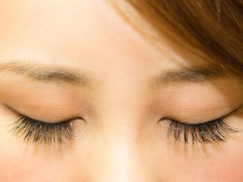 アイラッシュサロン ミューズ(Eyelash Salon Muse)/Muse★フラットラッシュ付け放題