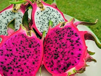 アジアンリラクゼーション ヴィラ 大橋店(asian relaxation villa)/バリ島:ドラゴンフルーツ