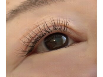 シマー(shimmer)/バインドロック60束