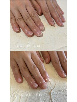 メロウ(merow)/自爪育成