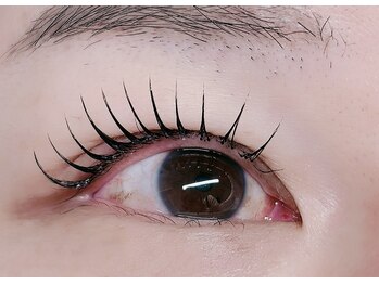 ルチア 高田馬場/フラットラッシュ140本