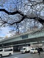 エド鍼灸院 日本橋(EDO鍼灸院) 日本橋/開院008年/鍼灸院/仕事帰り、仕事の途中にお寄りください