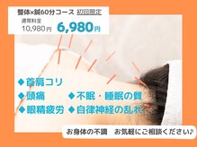 ケーナイン(K-nine)