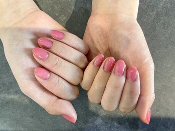 クレセント 武蔵小山(Crescent)/ワンカラー