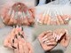 CHERRY NAILS大塚南口店【パラジェル/フィルイン/持ち込み/マグネット/長さだし】の写真/200色以上のカラー＆最新パーツ多数★画像持ち込みやニュアンスも再現◎【大塚駅南口徒歩2分】