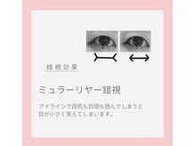 ブルースター(BLUE STAR)/ミュラーリヤー錯視