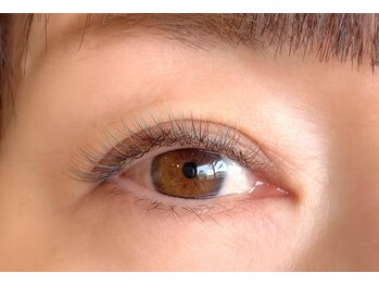 アンの家/マリンブルー×ベージュ