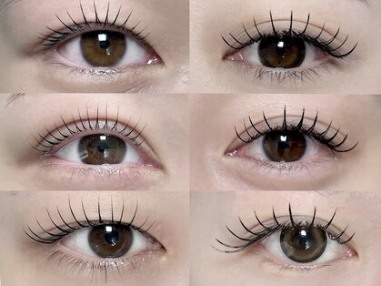 シン(sin)の写真